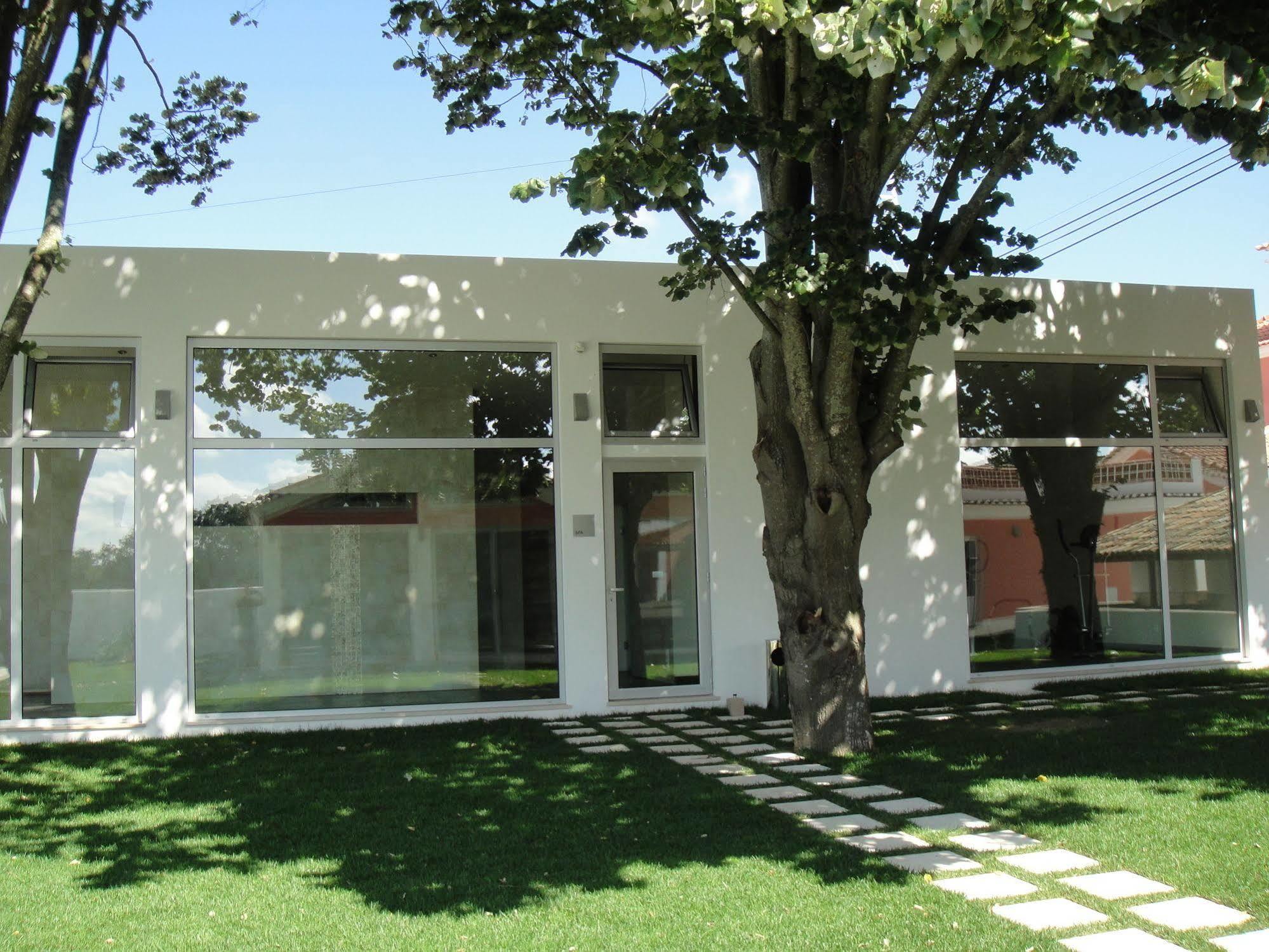 Souto da CarpalhosaQuinta Alves De Matos别墅 外观 照片